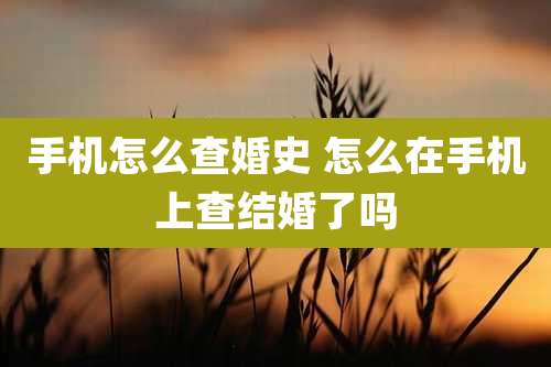 手机怎么查婚史 怎么在手机上查结婚了吗