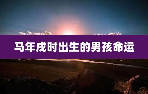 马年戌时出生的男孩命运