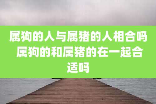 属狗的人与属猪的人相合吗 属狗的和属猪的在一起合适吗