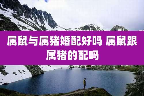 属鼠与属猪婚配好吗 属鼠跟属猪的配吗