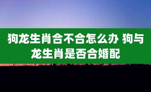 狗龙生肖合不合怎么办 狗与龙生肖是否合婚配