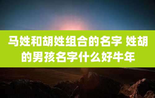 马姓和胡姓组合的名字 姓胡的男孩名字什么好牛年