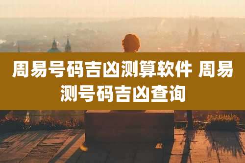 周易号码吉凶测算软件 周易测号码吉凶查询