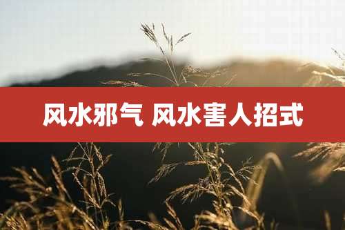 风水邪气 风水害人招式