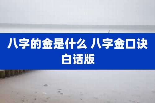 八字的金是什么 八字金口诀白话版