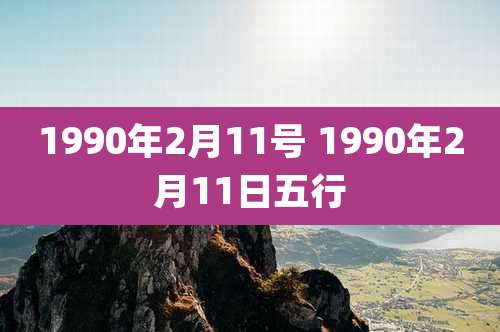 1990年2月11号 1990年2月11日五行