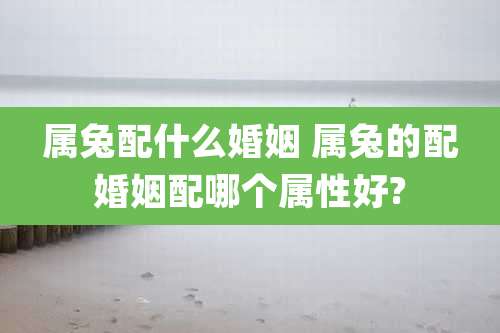 属兔配什么婚姻 属兔的配婚姻配哪个属性好?
