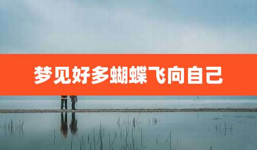梦见好多蝴蝶飞向自己