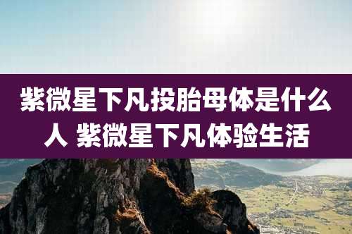 紫微星下凡投胎母体是什么人 紫微星下凡体验生活