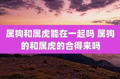 属狗和属虎能在一起吗 属狗的和属虎的合得来吗