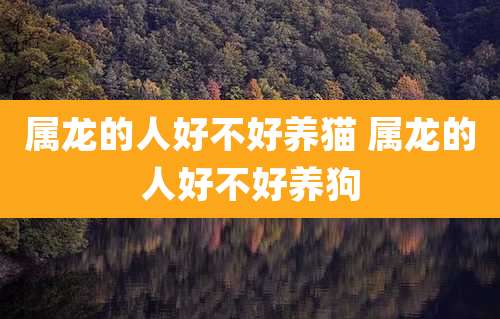 属龙的人好不好养猫 属龙的人好不好养狗