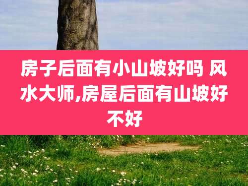 房子后面有小山坡好吗 风水大师,房屋后面有山坡好不好