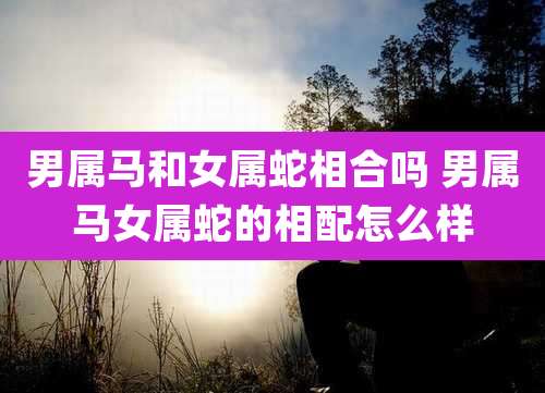 男属马和女属蛇相合吗 男属马女属蛇的相配怎么样