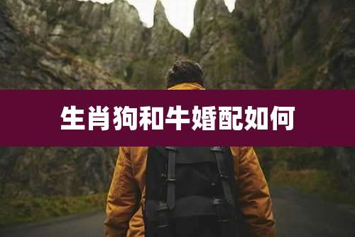生肖狗和牛婚配如何
