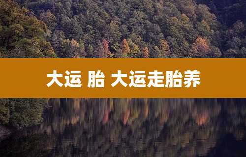 大运 胎 大运走胎养