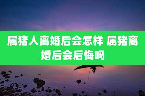 属猪人离婚后会怎样 属猪离婚后会后悔吗