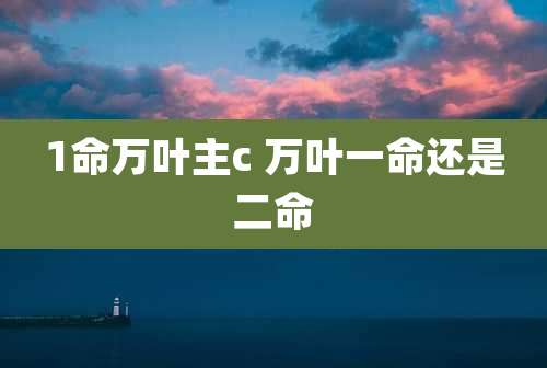1命万叶主c 万叶一命还是二命