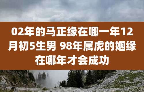 02年的马正缘在哪一年12月初5生男 98年属虎的姻缘在哪年才会成功