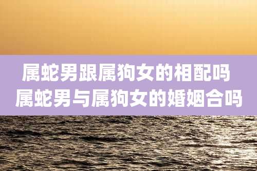 属蛇男跟属狗女的相配吗 属蛇男与属狗女的婚姻合吗