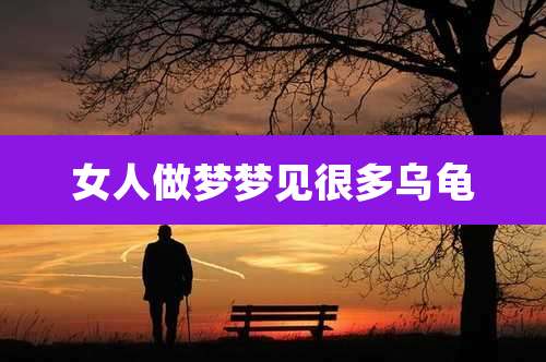 女人做梦梦见很多乌龟