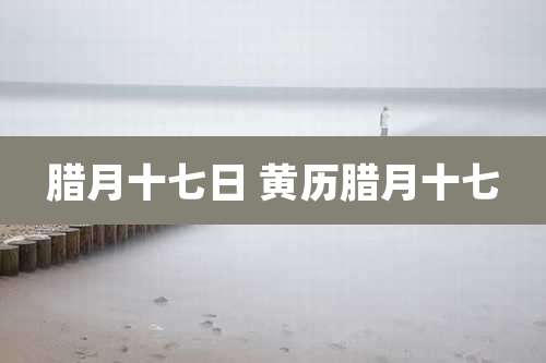 腊月十七日 黄历腊月十七