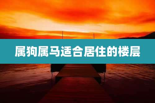 属狗属马适合居住的楼层