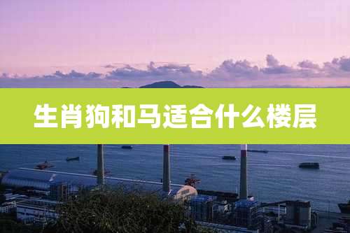 生肖狗和马适合什么楼层