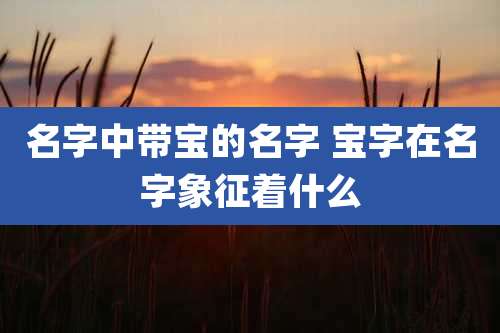 名字中带宝的名字 宝字在名字象征着什么
