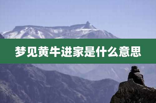 梦见黄牛进家是什么意思