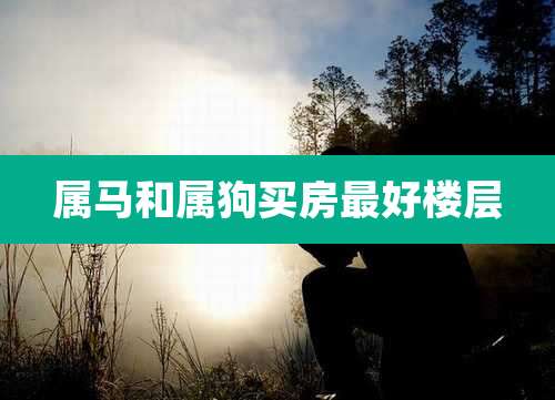 属马和属狗买房最好楼层