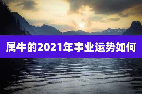 属牛的2021年事业运势如何