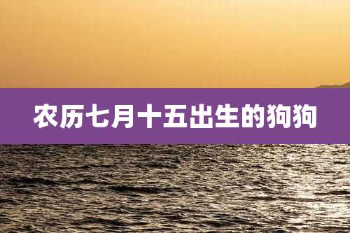 农历七月十五出生的狗狗