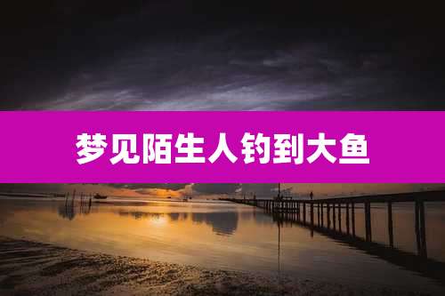 梦见陌生人钓到大鱼