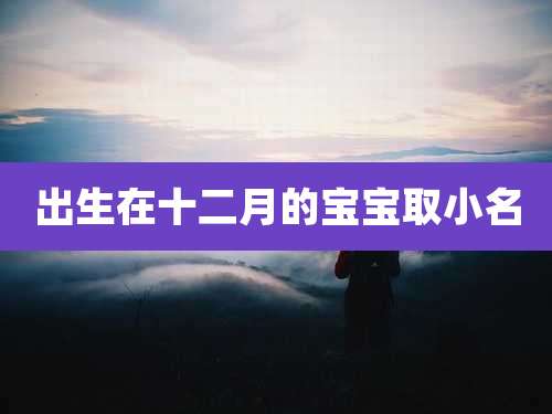 出生在十二月的宝宝取小名