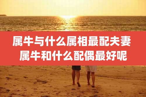 属牛与什么属相最配夫妻 属牛和什么配偶最好呢