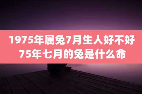 1975年属兔7月生人好不好 75年七月的兔是什么命