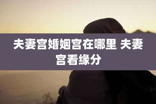 夫妻宫婚姻宫在哪里 夫妻宫看缘分