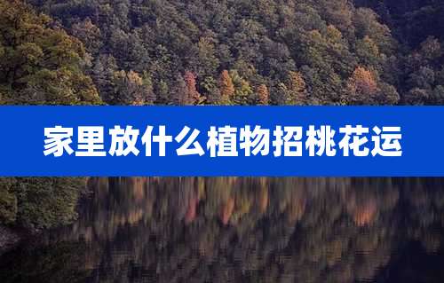 家里放什么植物招桃花运