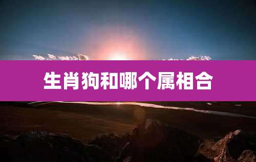 生肖狗和哪个属相合