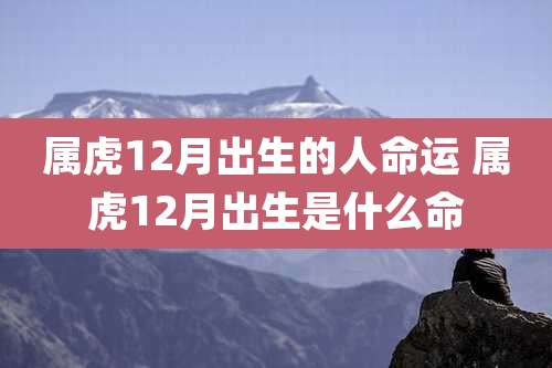 属虎12月出生的人命运 属虎12月出生是什么命