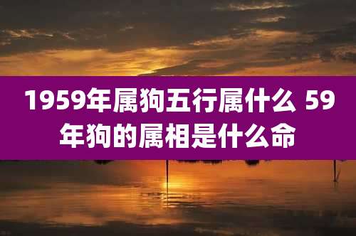 1959年属狗五行属什么 59年狗的属相是什么命