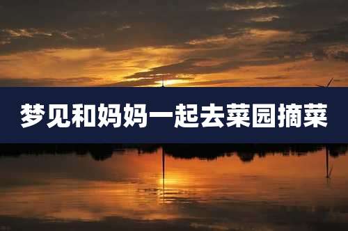 梦见和妈妈一起去菜园摘菜