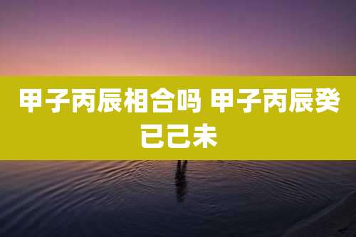 甲子丙辰相合吗 甲子丙辰癸已己未