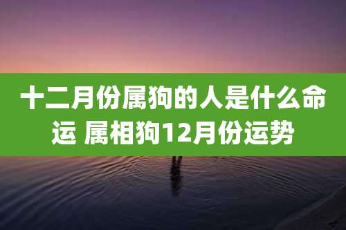 十二月份属狗的人是什么命运 属相狗12月份运势