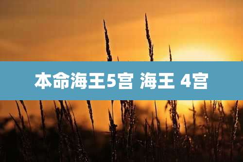 本命海王5宫 海王 4宫