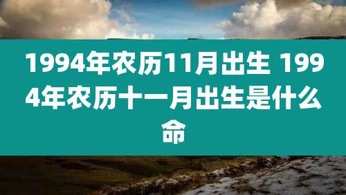 1994年农历11月出生 1994年农历十一月出生是什么命