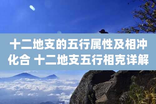 十二地支的五行属性及相冲化合 十二地支五行相克详解