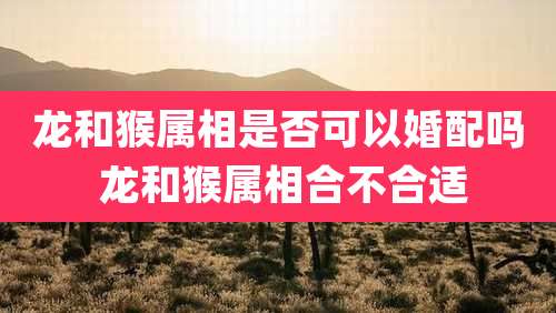 龙和猴属相是否可以婚配吗 龙和猴属相合不合适