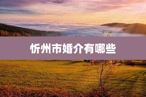 忻州市婚介有哪些