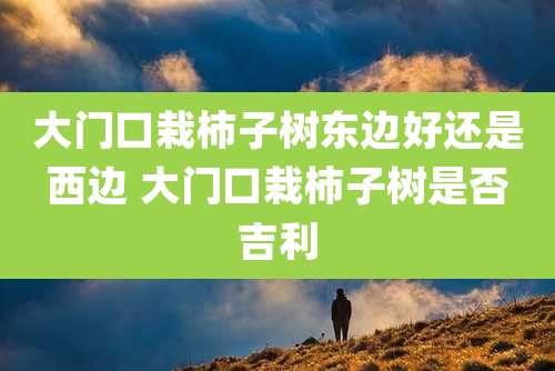 大门口栽柿子树东边好还是西边 大门口栽柿子树是否吉利